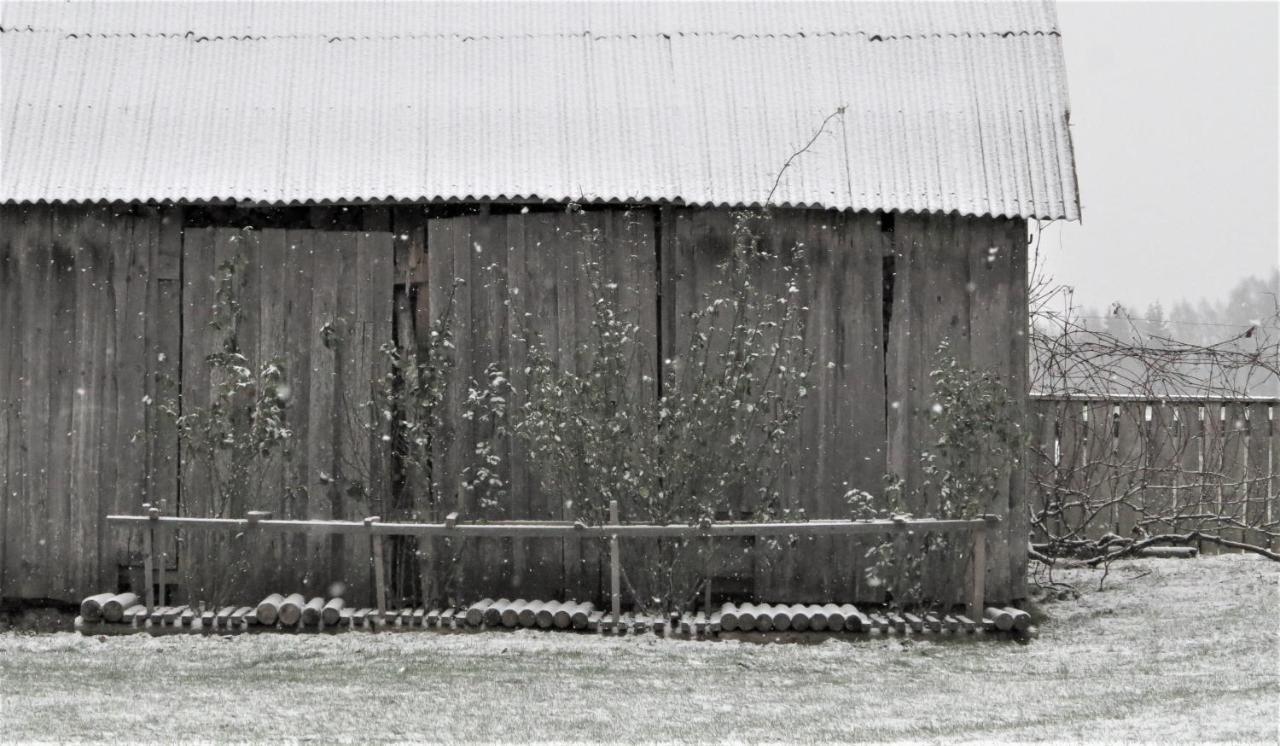 Mednieki Kalvene Konuk evi Krusati Dış mekan fotoğraf