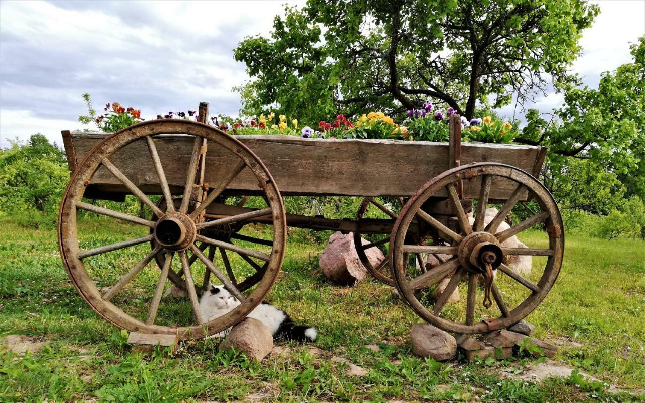Mednieki Kalvene Konuk evi Krusati Dış mekan fotoğraf
